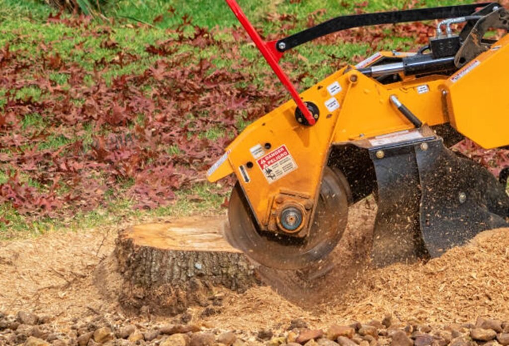 Stump grinding machine removing leftover tree stump and leveling the yard surface after tree removal