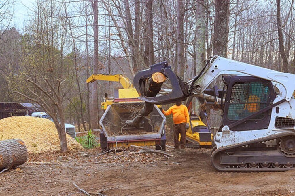 Tree stump completely removed and ground down in Beachwood, OH, residential yard