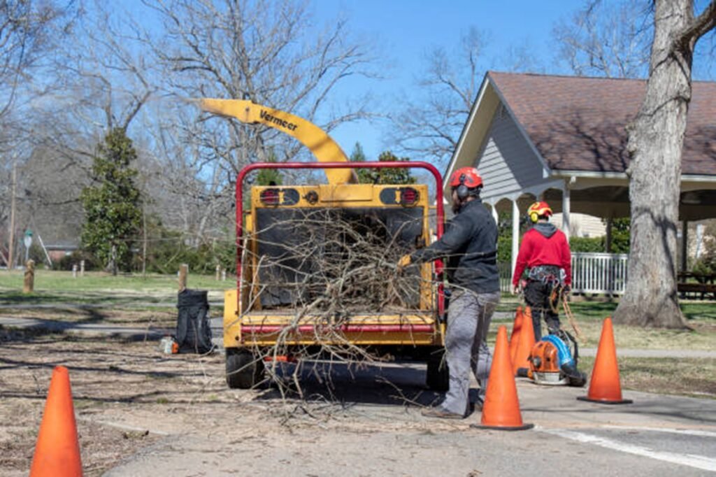 Tree service team loading branches into the wood chipper during a cleanup job in Beachwood, OH