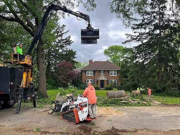 Tree service crew using a crane and equipment to remove large branches during tree trimming in Beachwood, OH