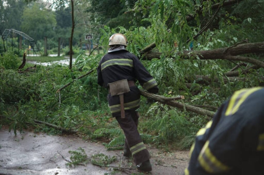 Tree service worker clearing storm debris and fallen branches from the roadway in Beachwood, OH
