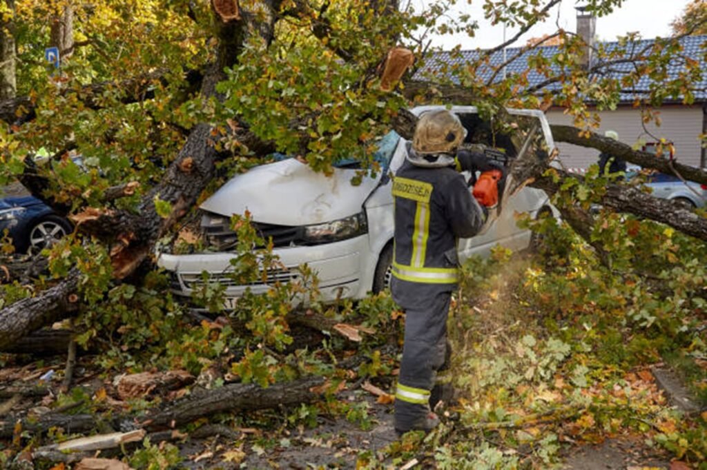 Emergency tree removal crew clearing fallen tree from damaged vehicle after storm in Beachwood, OH