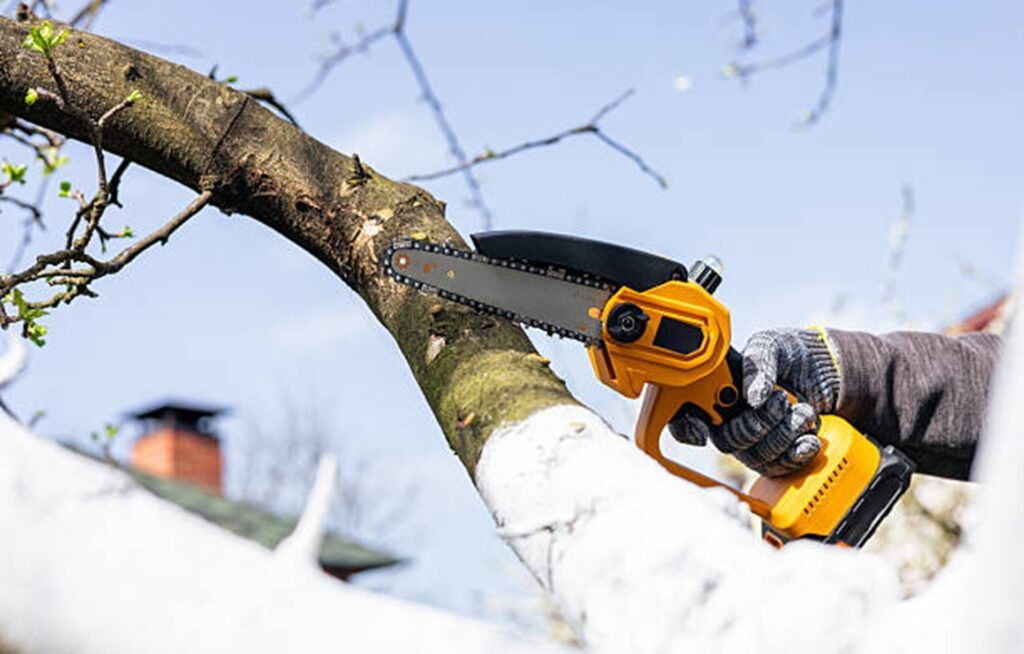 Tree trimming service cutting high branches using a power saw in Beachwood, OH