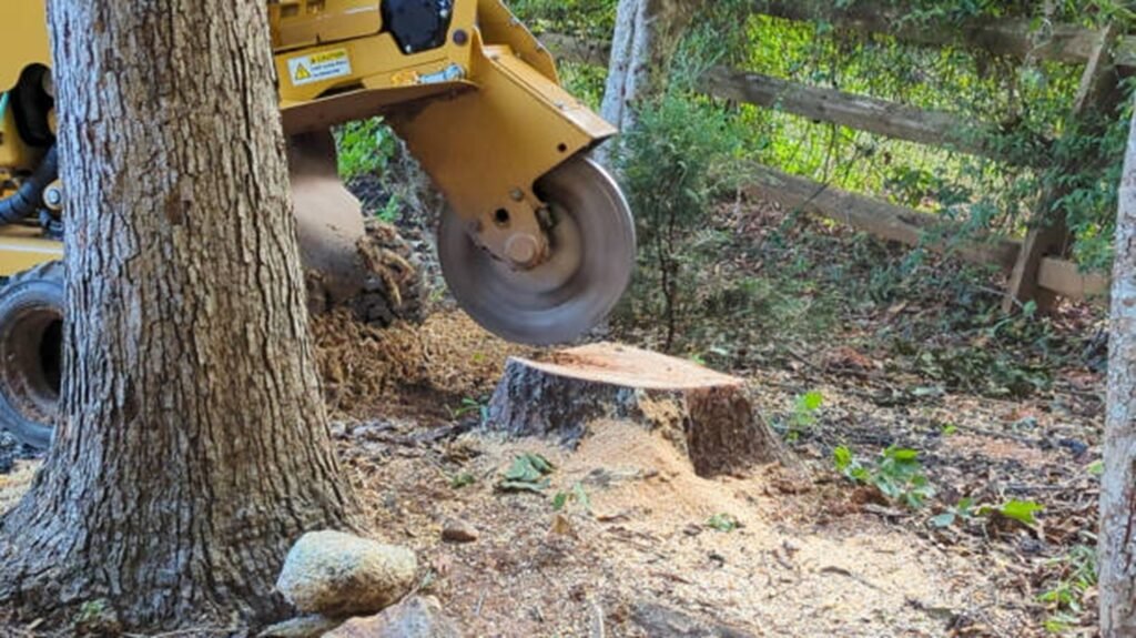 Stump grinding machine removing tree stump and debris in residential yard in Beachwood, OH