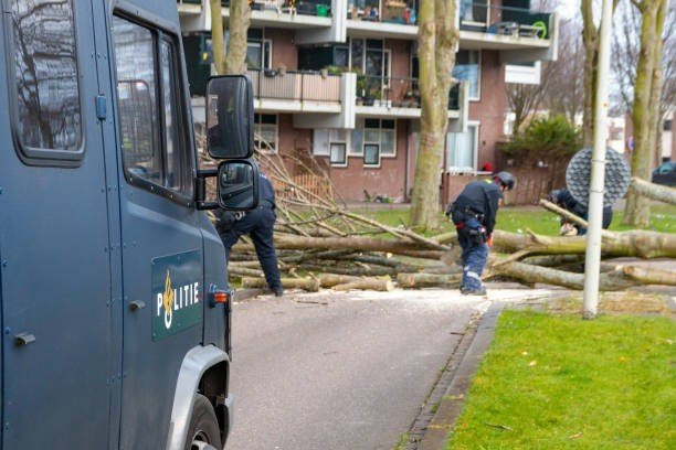 Tree service crew clearing fallen tree debris from a residential street after storm damage