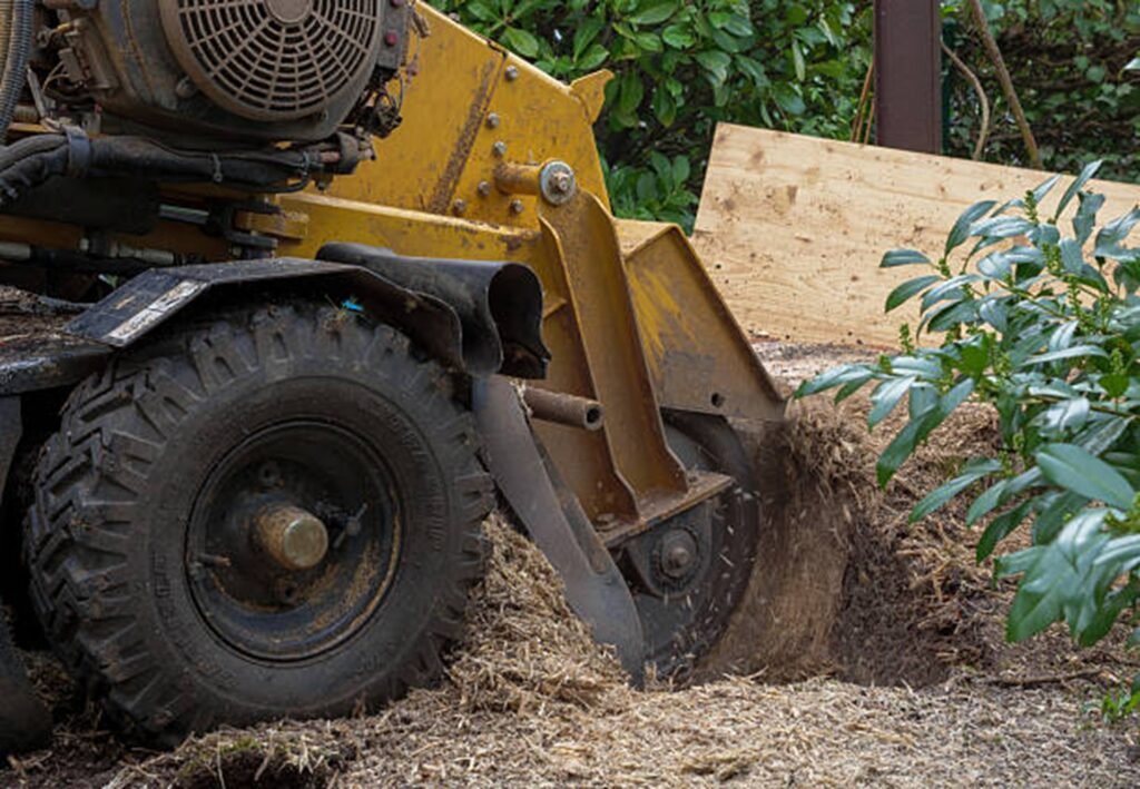 Professional stump grinding equipment removing a tree stump in Beachwood, OH