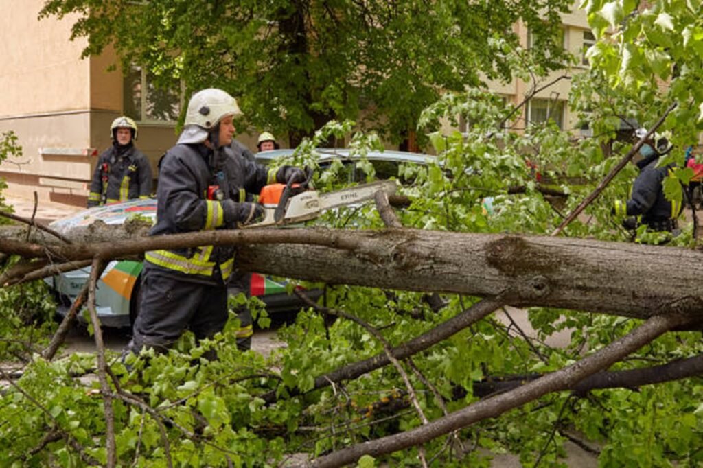 Emergency tree removal crew handling fallen tree and hazardous branches in Beachwood, OH