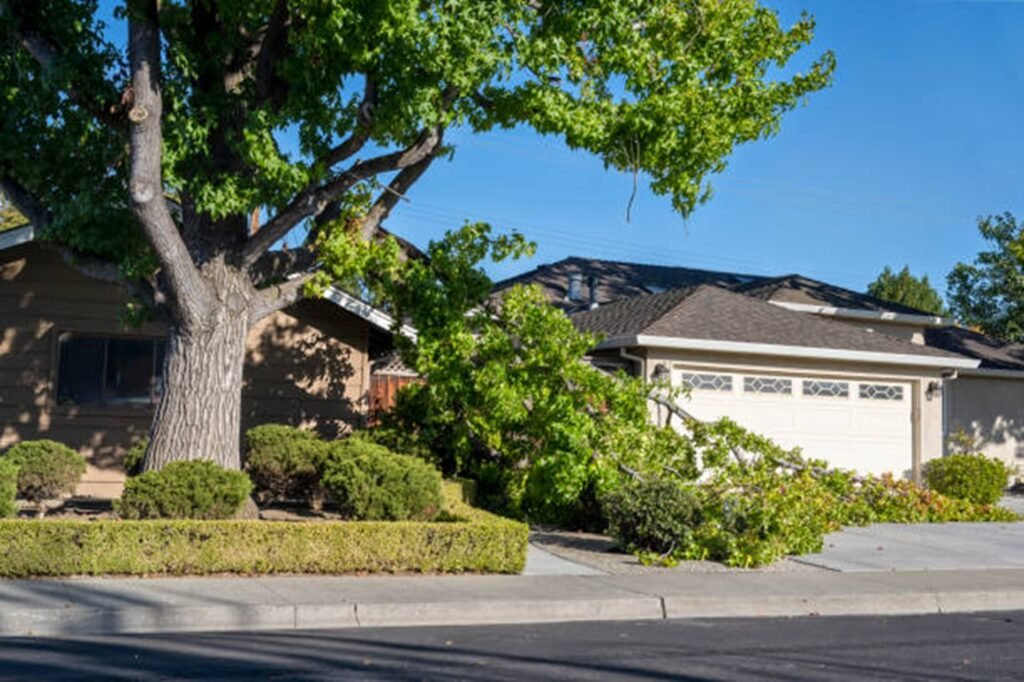 Fallen tree blocking driveway and damaging property during storm cleanup in Beachwood, OH